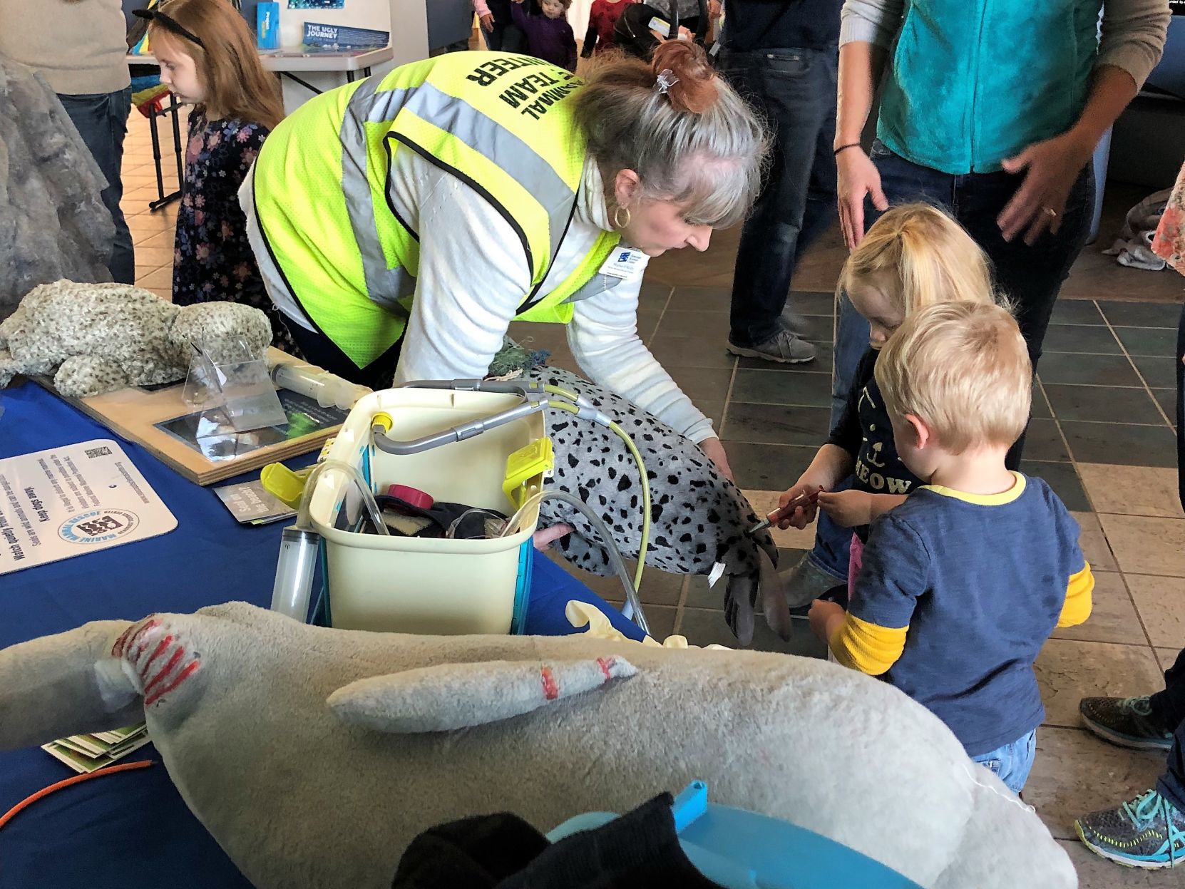 Dive into Science on Veterans Day